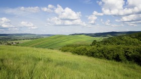 5 важни стъпки към успешната сделка със земеделска земя