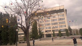 дървото пред Общината