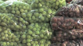 Задигнаха 300 кг грозде от масив в Братя Кунчеви