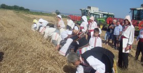 "Пътят на хляба" през лятото