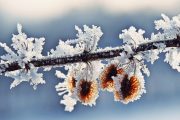 АПИ: Шофьорите да тръгват с автомобили, готови за зимни условия, времето ще се влошава