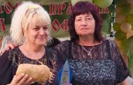 Единкилограмов картоф спечели атрактивно състезание в Калояновец